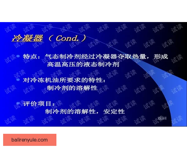 里尔俱乐部历程回顾与未来发展展望解析